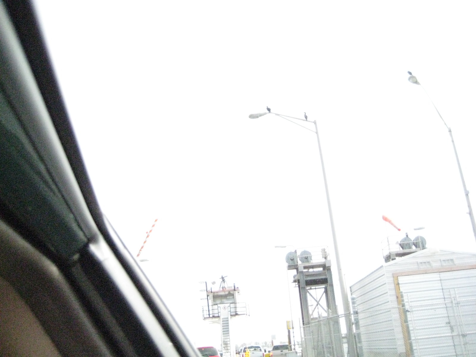 Birds!